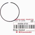 Kawasaki OEM RING GASKET