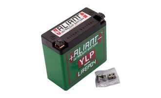 Aliant Ultralight Battery YLP30
