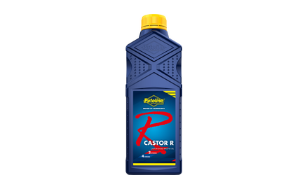 CASTOR R