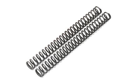 Fork spring set