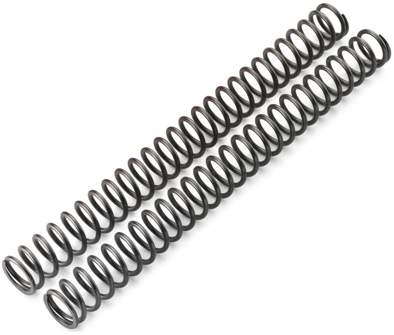 Fork spring set