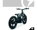 16eDRIVE ELITE 36V
