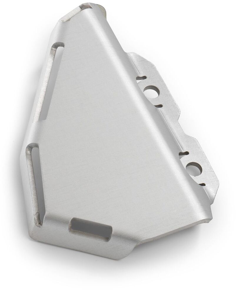 Master cylinder protection