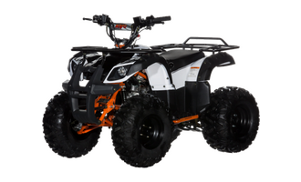 UUS! ATV KAYO AU 110