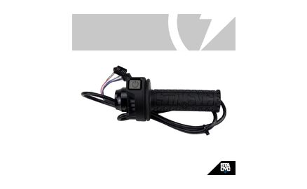 THROTTLE WITH GRIP