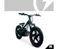 16eDRIVE ELITE 36V