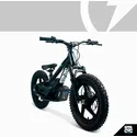 16eDRIVE ELITE 36V